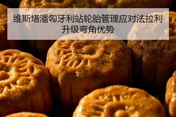 维斯塔潘匈牙利站轮胎管理应对法拉利升级弯角优势