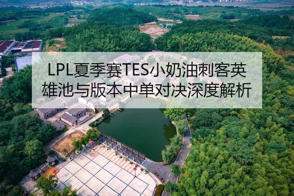 LPL夏季赛TES小奶油刺客英雄池与版本中单对决深度解析